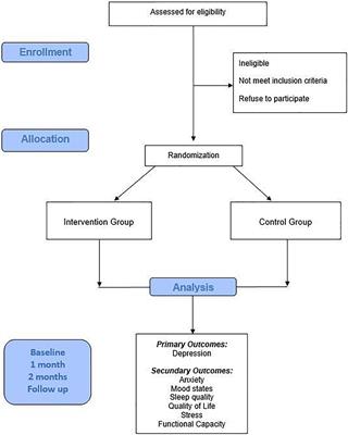 Home Physical Exercise Protocol for Older Adults, Applied Remotely During the COVID-19 Pandemic: Protocol for Randomized and Controlled Trial
